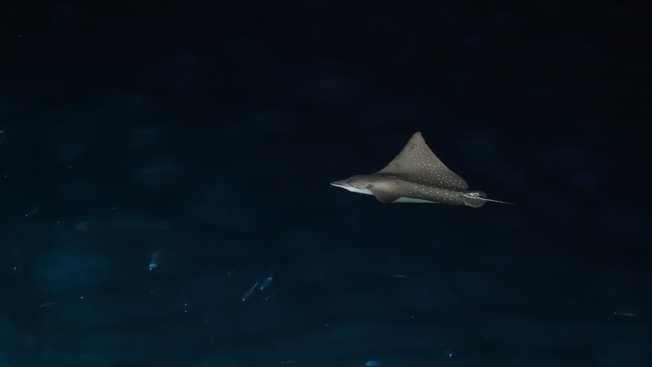 Отель Ocean Beach Maldive Maldives Экстерьер фото